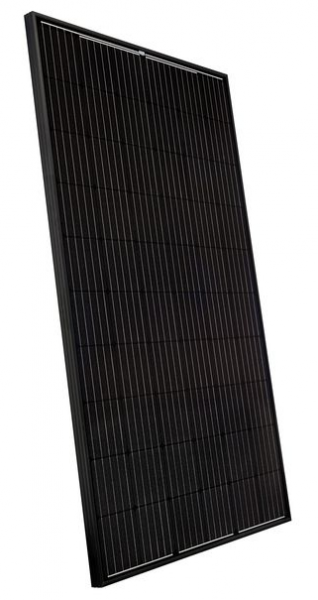 NeMo 60 2.0 Mono Black 300 Watt